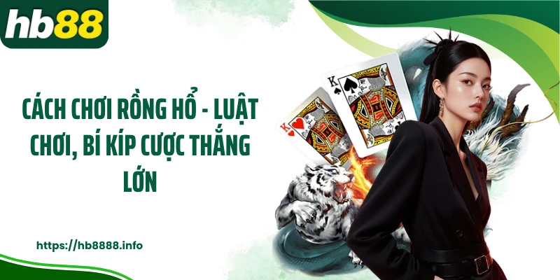 Cách Chơi Rồng Hổ - Luật Chơi, Bí Kíp Cược Thắng Lớn