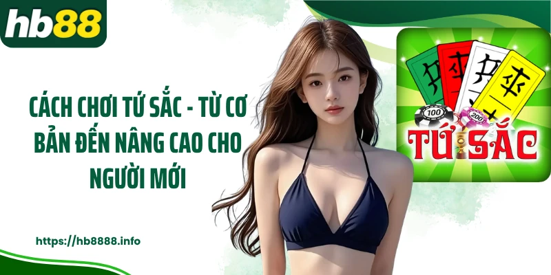 Cách Chơi Tứ Sắc - Từ Cơ Bản Đến Nâng Cao Cho Người Mới