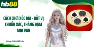 Cách Chơi Xóc Đĩa - Bắt Vị Chuẩn Xác, Thắng Đậm Mọi Ván