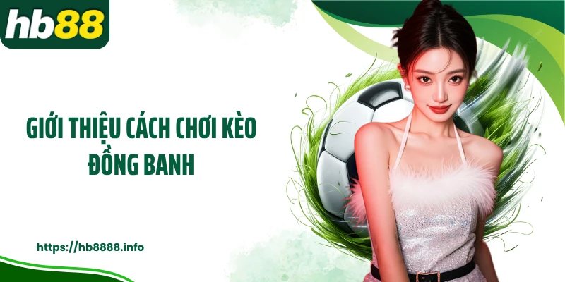 Giới thiệu cách chơi kèo đồng banh