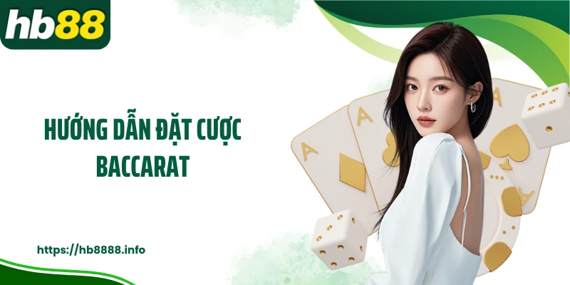 Hướng dẫn đặt cược baccarat