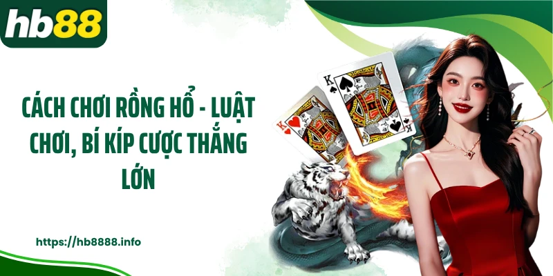 Mẹo chơi rồng hổ từ cao thủ