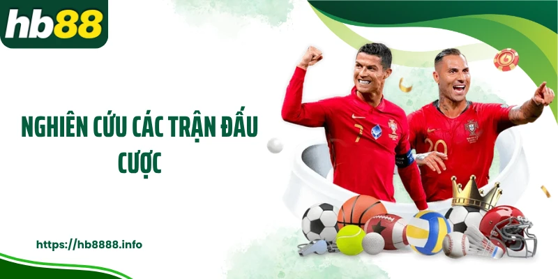 Nghiên cứu các trận đấu cược