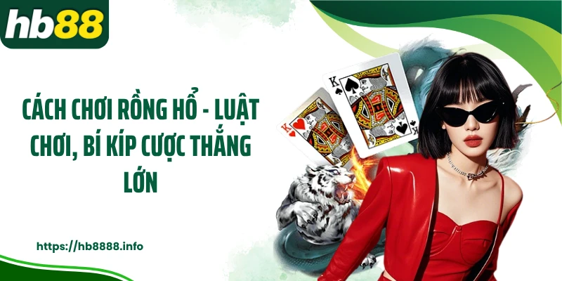 Tìm hiểu cách chơi rồng hổ