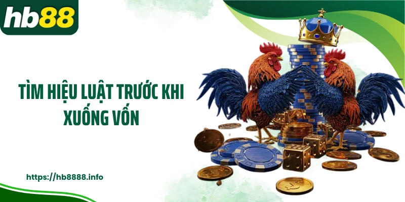 Tìm hiệu luật trước khi xuống vốn