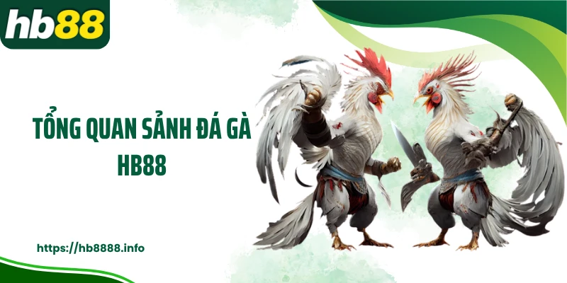 Tổng quan sảnh đá gà HB88